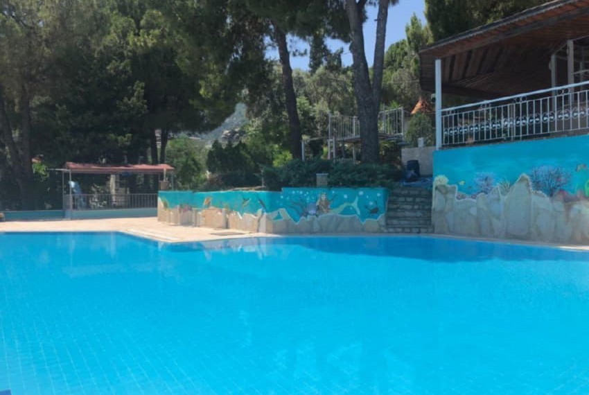 Pine Beach Hotel, 4* Pine Beach Hotel, 4*