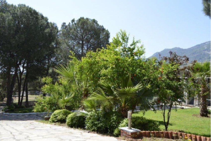 Pine Beach Hotel, 4* Pine Beach Hotel, 4*