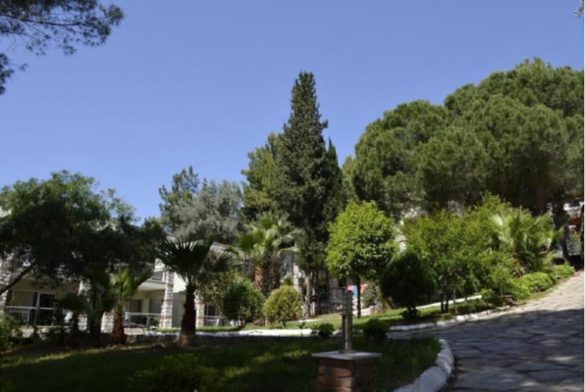 Pine Beach Hotel, 4* Pine Beach Hotel, 4*
