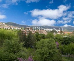 Tarnovo Hotel, 3*