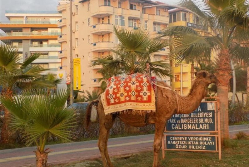 Semt Luna Beach Hotel, 3* Semt Luna Beach Hotel, 3*