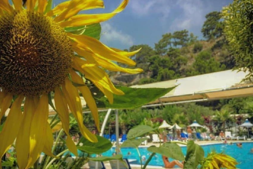 Grand Mir'amor Hotel, 4* Grand Mir'amor Hotel, 4*