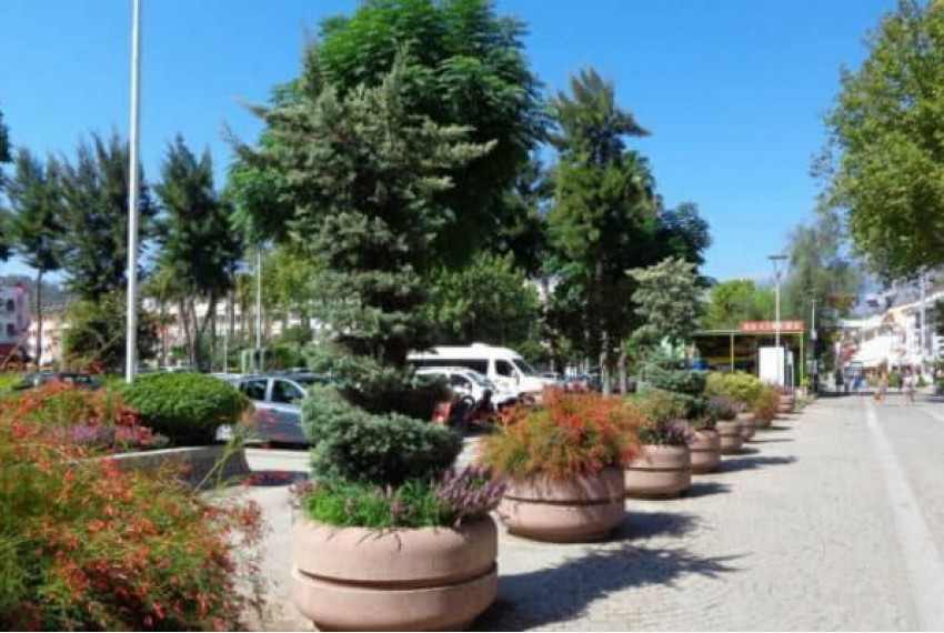 Mojna Hotel, 3* Mojna Hotel, 3*
