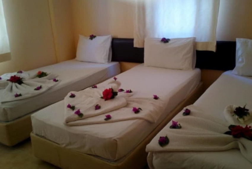 Rose Hotel, 3* Rose Hotel, 3*