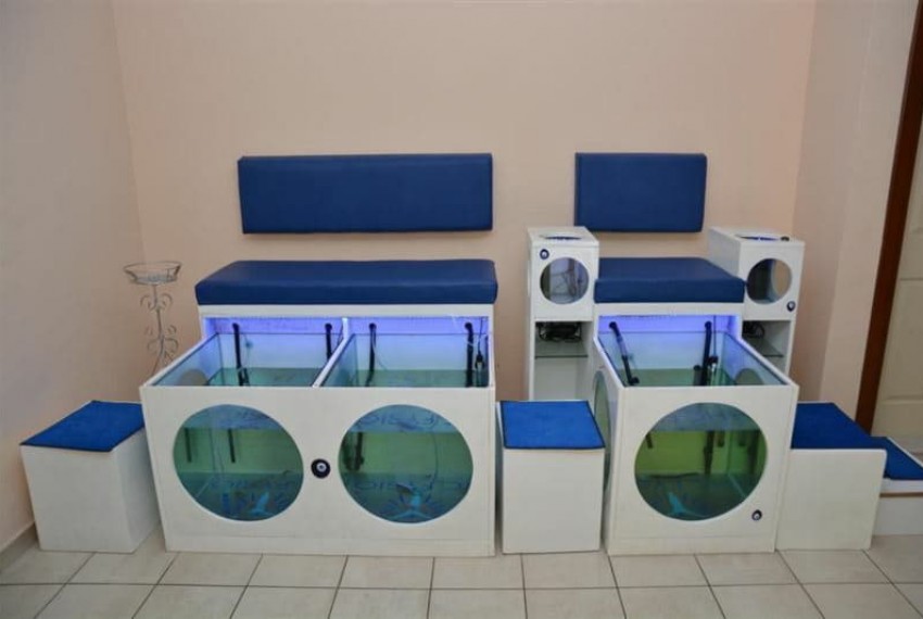 Kleopatra Dreams Beach Hotel, 4* Kleopatra Dreams Beach Hotel, 4*