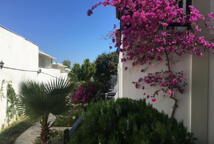 Salinas Beach Hotel, 3* Salinas Beach Hotel, 3*