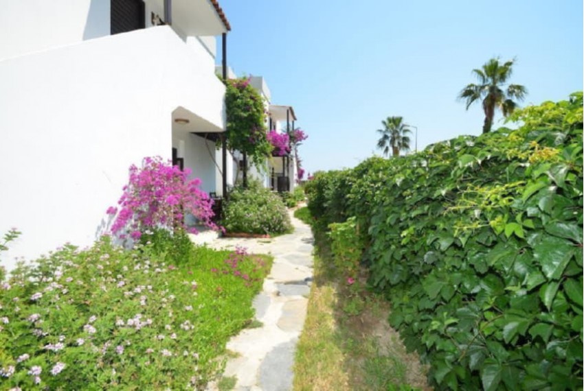 Salinas Beach Hotel, 3* Salinas Beach Hotel, 3*