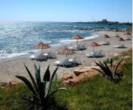 Club Rasputin (ex. Lion,Club Hotel Fiesta Berr), 3*