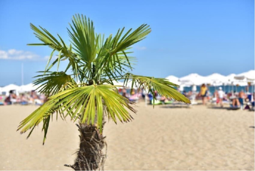Berlin Golden Beach, 4* Berlin Golden Beach, 4*