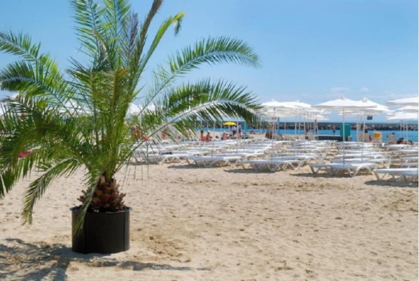 Dolphin Hotel, 4* Dolphin Hotel, 4*