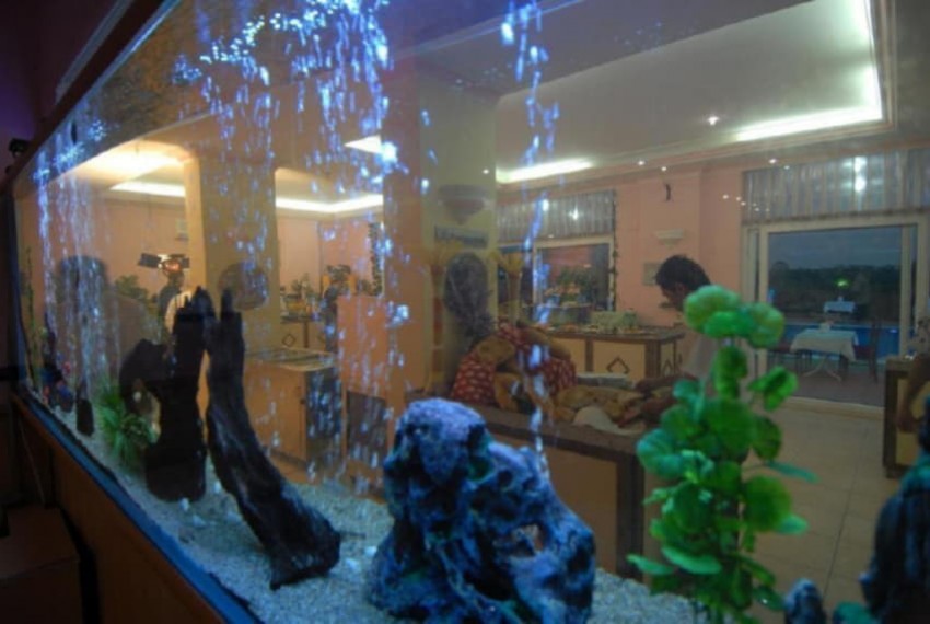 Alanya Risus Park Hotel, 3* Alanya Risus Park Hotel, 3*