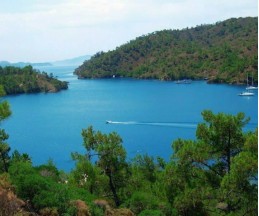 Fortuna  Dalaman, 4*