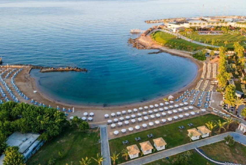 Lonicera Premium, 4* Lonicera Premium, 4*