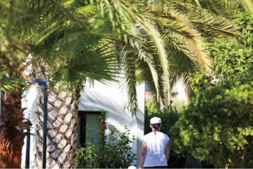 Sural Garden, 3* Sural Garden, 3*