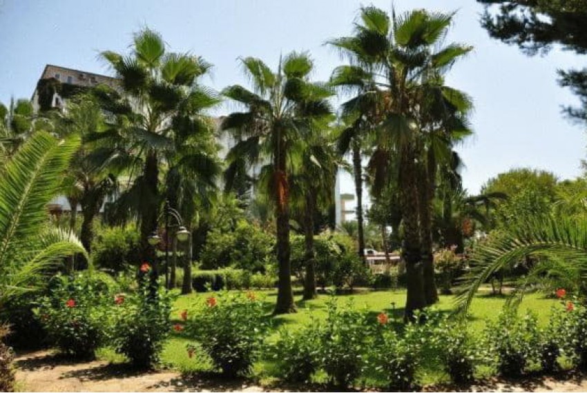 Green Peace Hotel, 3* Green Peace Hotel, 3*