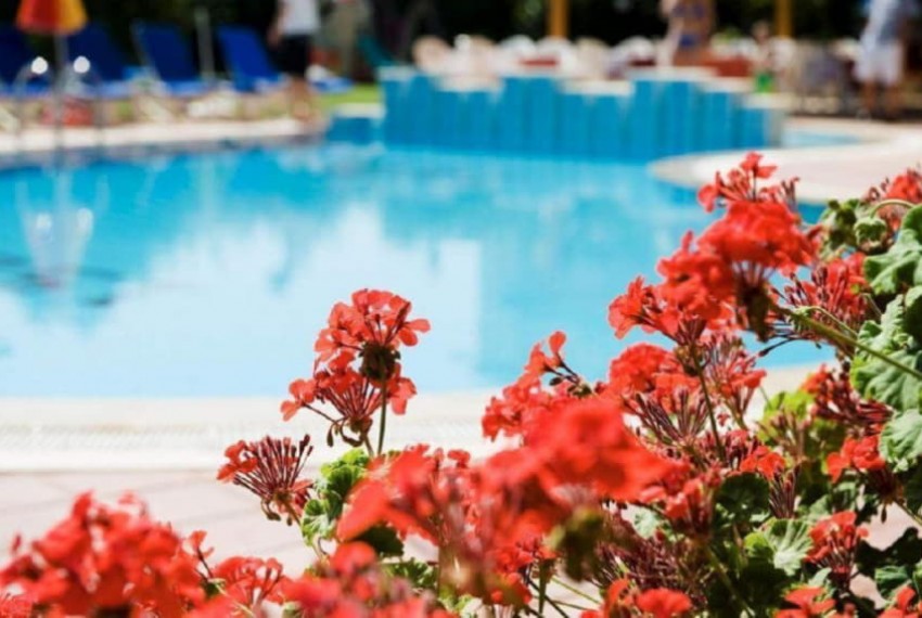Begonville Apart, 3* Begonville Apart, 3*