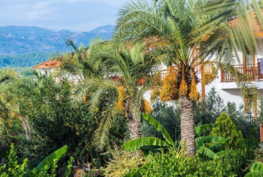 Eftalia Village, 5* Eftalia Village, 5*