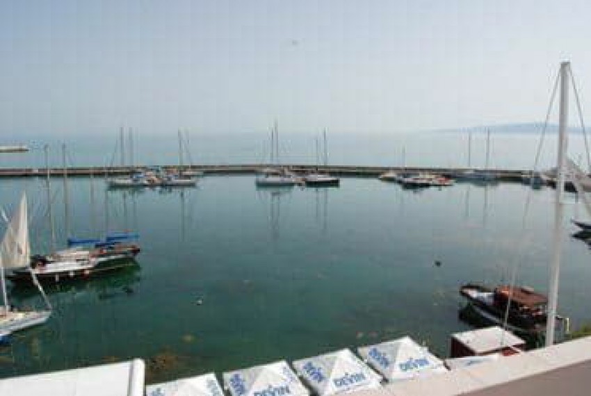 Lotos, 3* Lotos, 3*