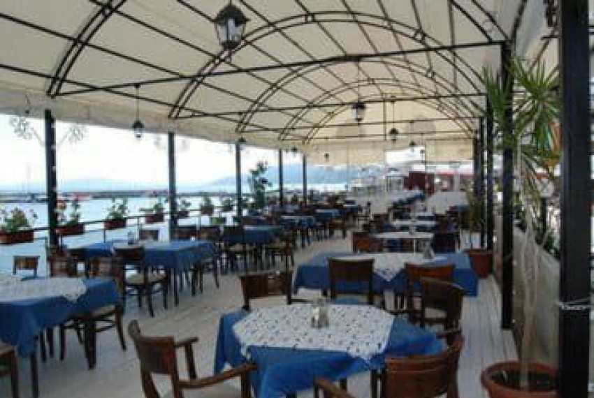 Lotos, 3* Lotos, 3*