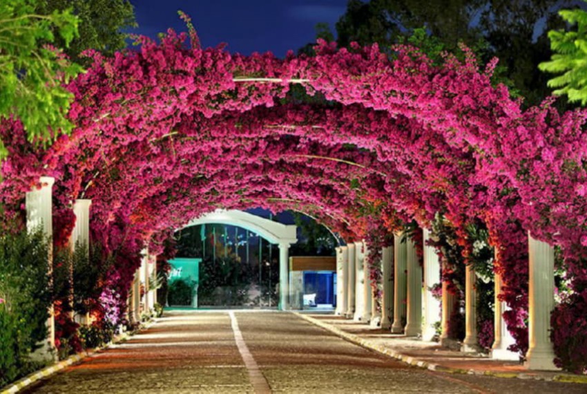 Kadikale Resort SPA & Wellness, 5* Kadikale Resort SPA & Wellness, 5*