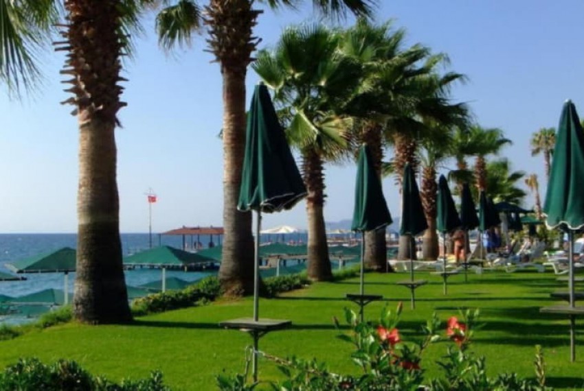 Seagull Hotel, 4* Seagull Hotel, 4*
