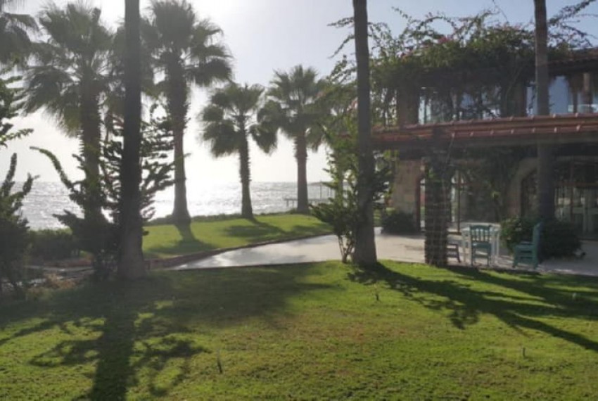 Seagull Hotel, 4* Seagull Hotel, 4*