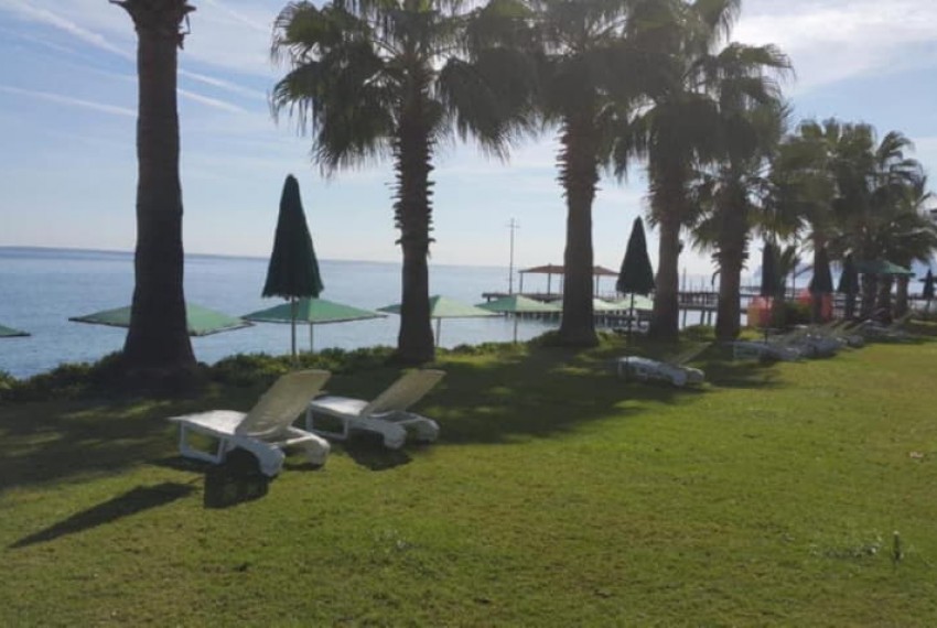 Seagull Hotel, 4* Seagull Hotel, 4*