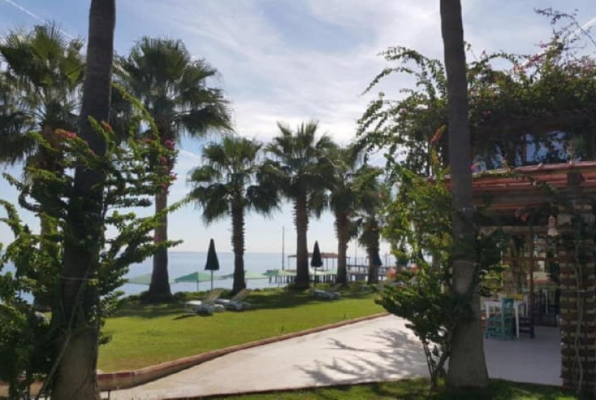 Seagull Hotel, 4* Seagull Hotel, 4*