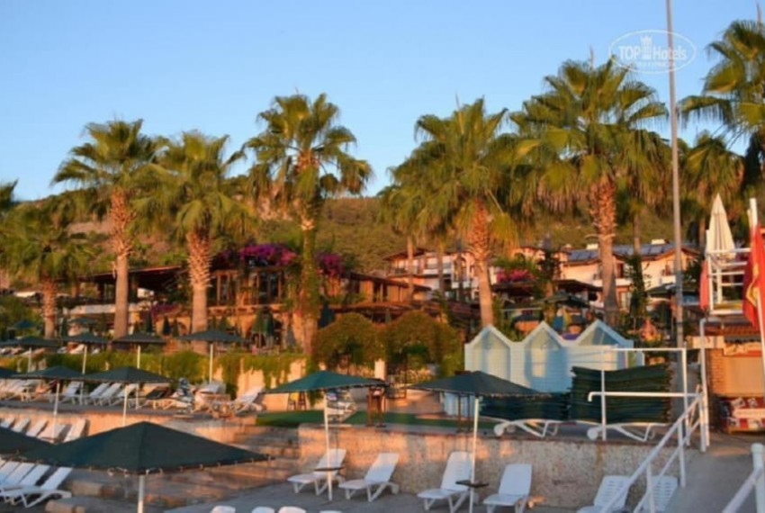 Seagull Hotel, 4* Seagull Hotel, 4*