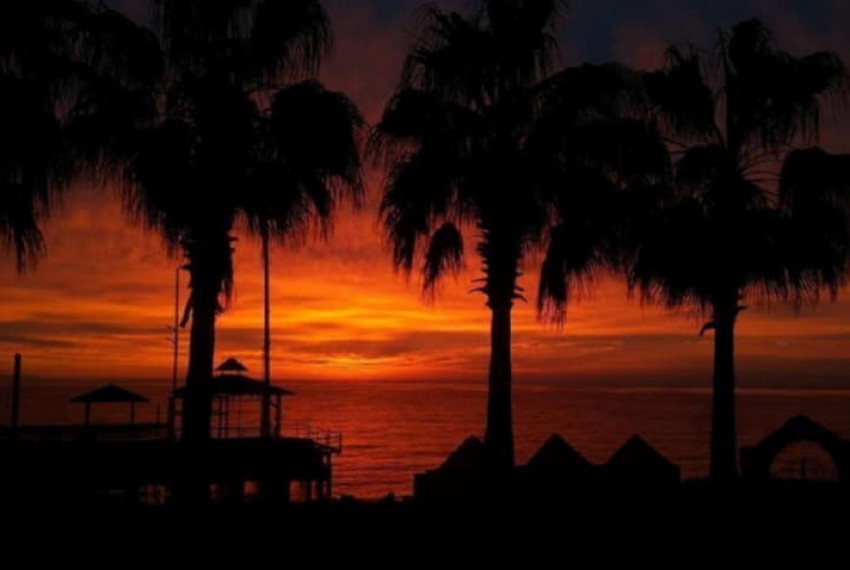 Seagull Hotel, 4* Seagull Hotel, 4*