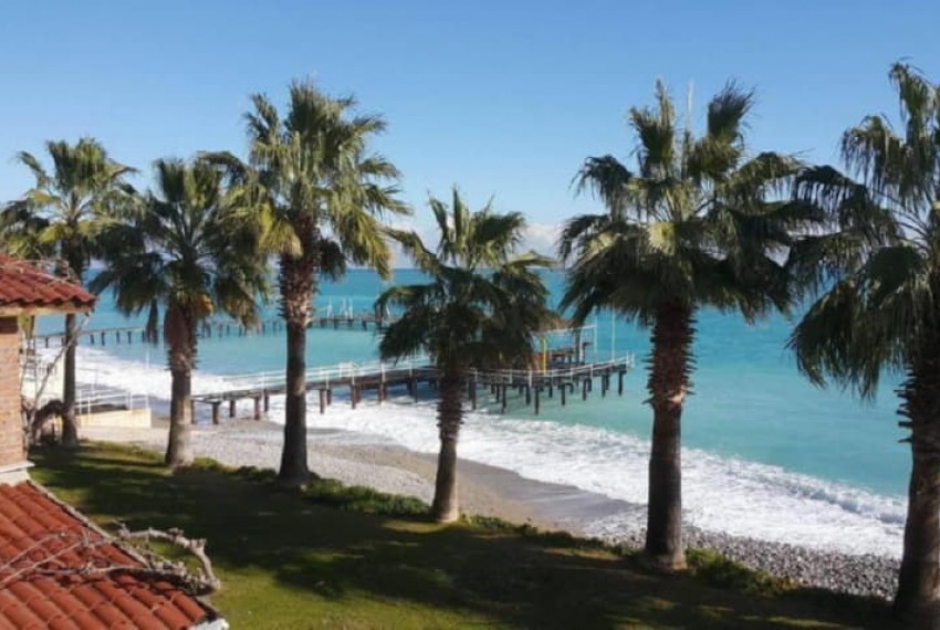 Seagull Hotel, 4* Seagull Hotel, 4*