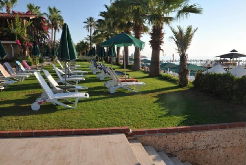 Seagull Hotel, 4* Seagull Hotel, 4*