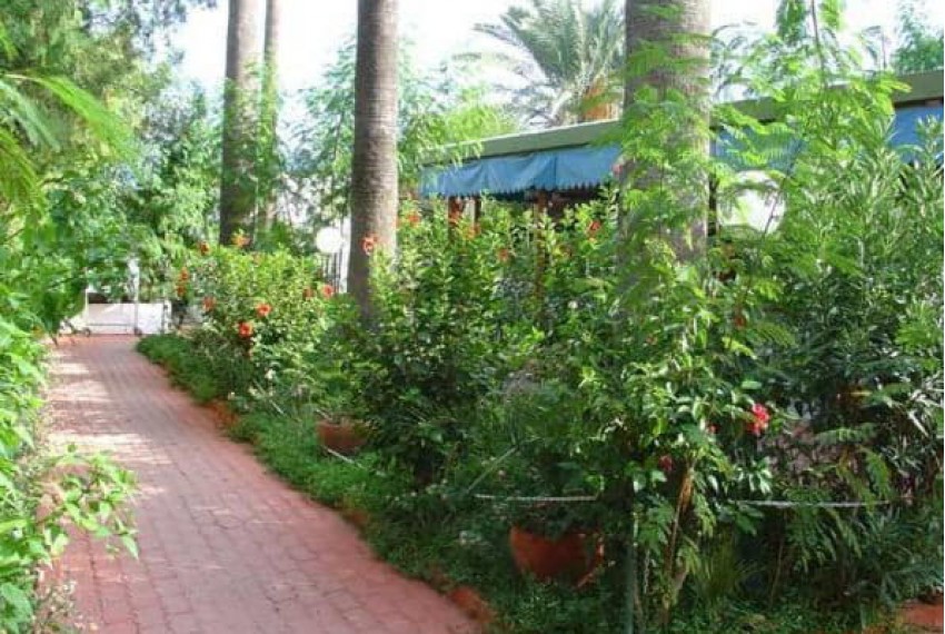 Amos Hotel, 3* Amos Hotel, 3*