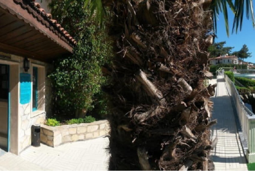 Club Aquarium, 3* Club Aquarium, 3*