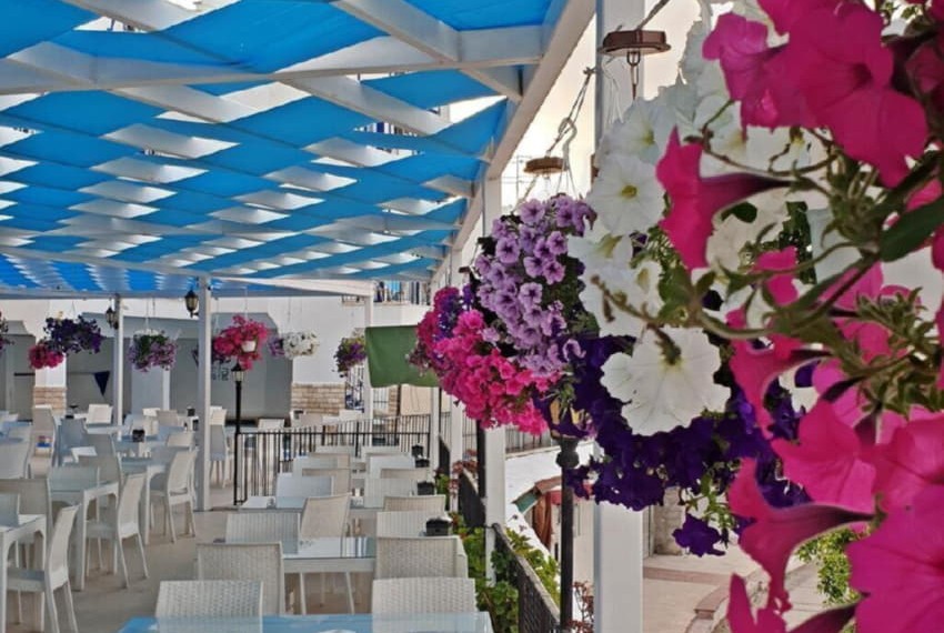 Vela Hotel, 3* Vela Hotel, 3*