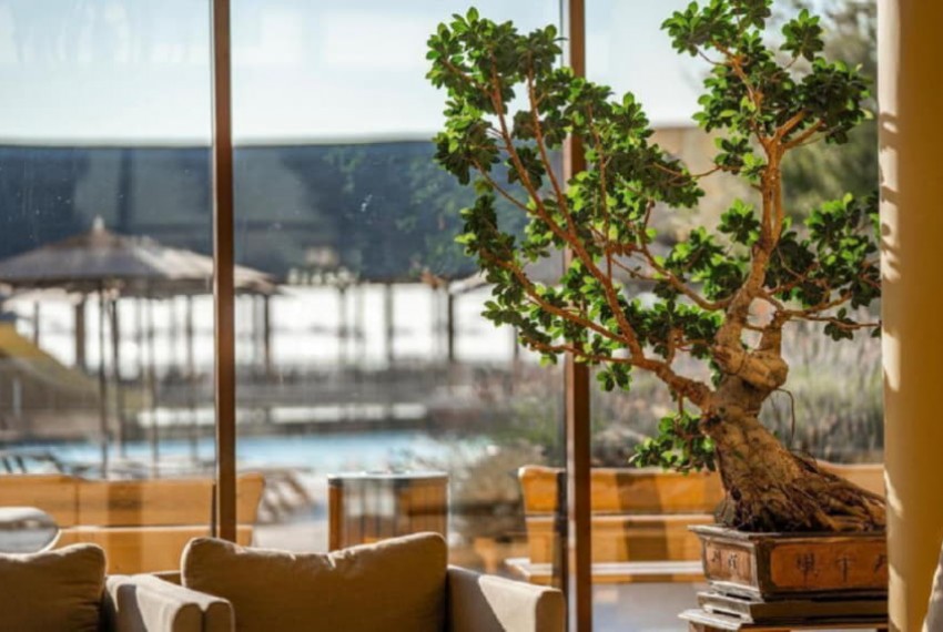 Club Hotel Miramar (ex. Riu Miramar), 4* Club Hotel Miramar (ex. Riu Miramar), 4*