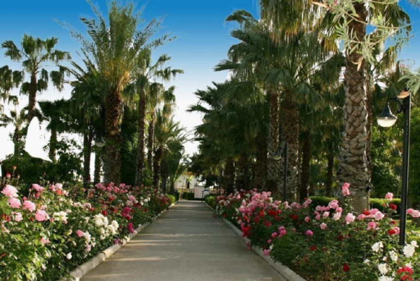 Adora Golf Resort, 5* Adora Golf Resort, 5*