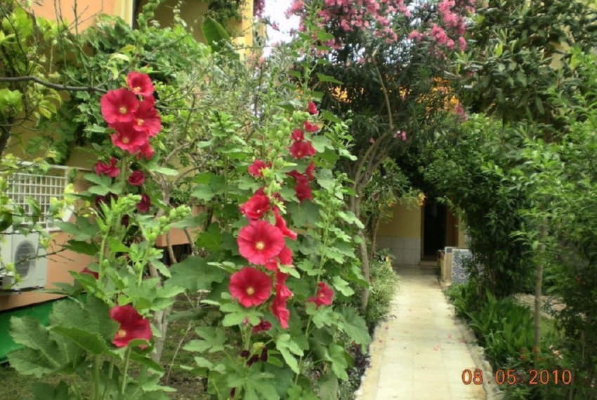 Marin Hotel (ex. Begonya Hotel), 3* Marin Hotel (ex. Begonya Hotel), 3*