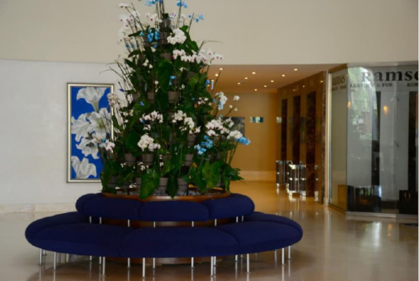 Zeynep Hotel, 5* Zeynep Hotel, 5*