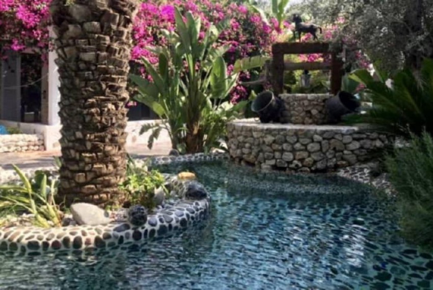Flamingo Hotel Oludeniz, 3* Flamingo Hotel Oludeniz, 3*