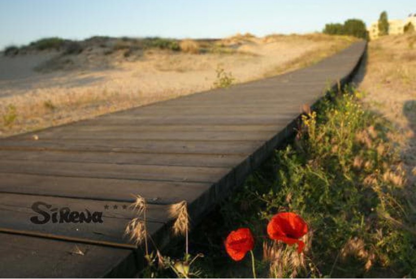 Sirena Sunny Beach, 3* Sirena Sunny Beach, 3*