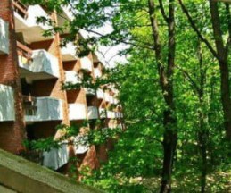 Biset, 2*