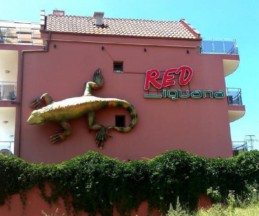 Red Iguana, 3*