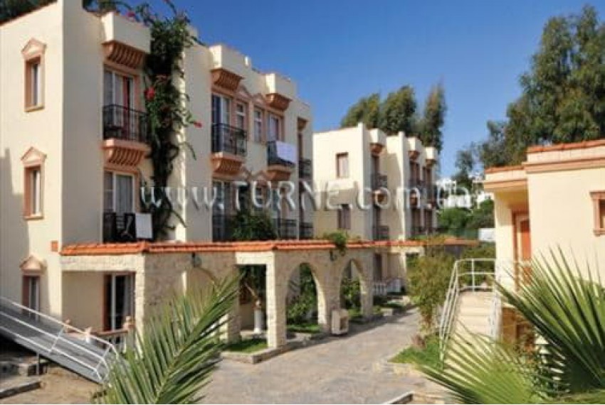 Palm Garden Hotel, 4* Palm Garden Hotel, 4*