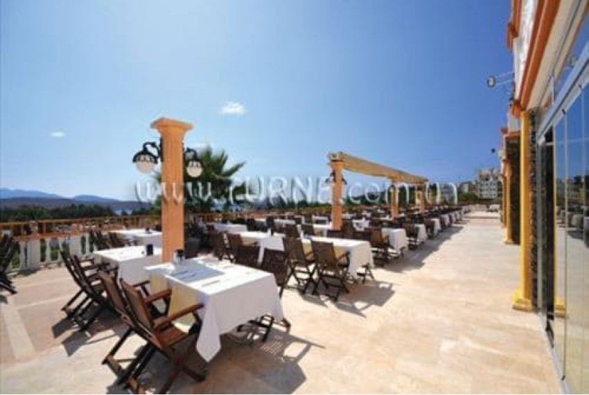 Palm Garden Hotel, 4* Palm Garden Hotel, 4*