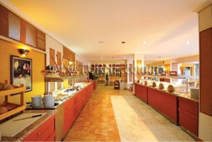 Palm Garden Hotel, 4* Palm Garden Hotel, 4*