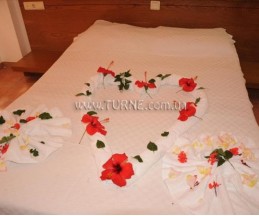 Club Pink Palace, 3*